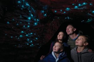 Te Anau Glow Worm Caves Tour: an underground adventure that charms visitors of all ages.