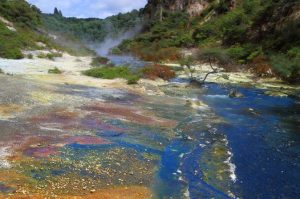 Rotorua Eco Thermal Small Group Morning Tour: including a short drive through the Waimangu Volcanic Valley